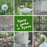 Pilsko Komfortowe Mieszkania Dla Rodzin I Narciarzy W Beskidach *
