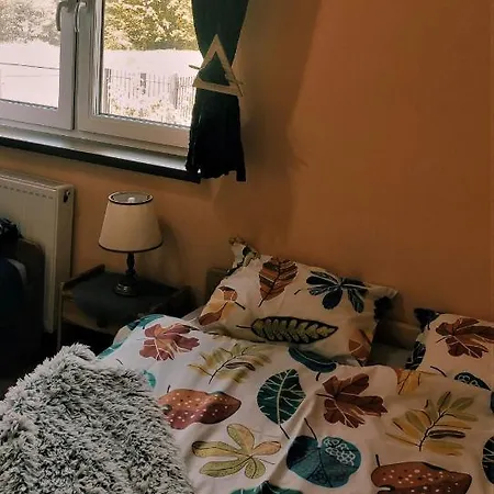 Lejlighed Pilsko Komfortowe Mieszkania Dla Rodzin I Narciarzy W Beskidach Korbielów