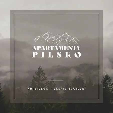 Apartment Pilsko Komfortowe Mieszkania Dla Rodzin I Narciarzy W Beskidach Korbielów