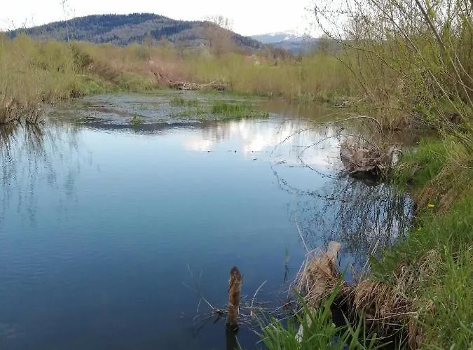 Apartment Pilsko Komfortowe Mieszkania Dla Rodzin I Narciarzy W Beskidach *