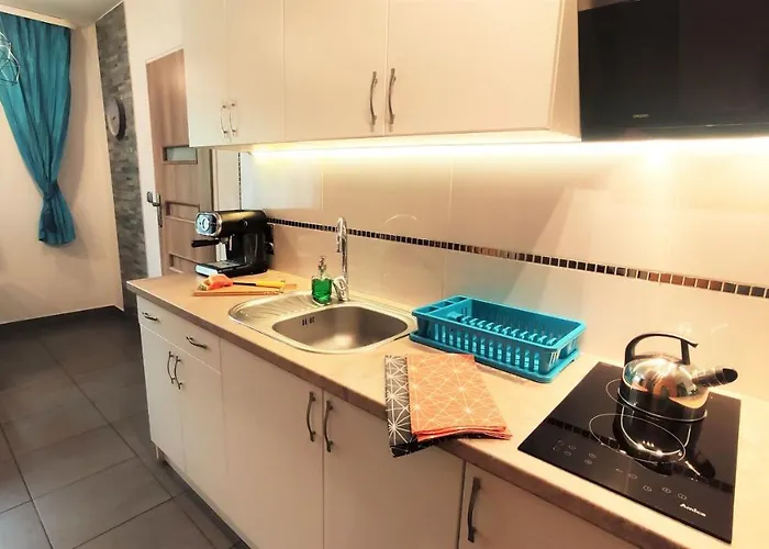 Pilsko Komfortowe Mieszkania Dla Rodzin I Narciarzy W Beskidach *