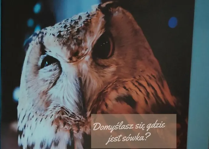 Pilsko Komfortowe Mieszkania Dla Rodzin I Narciarzy W Beskidach Apartment